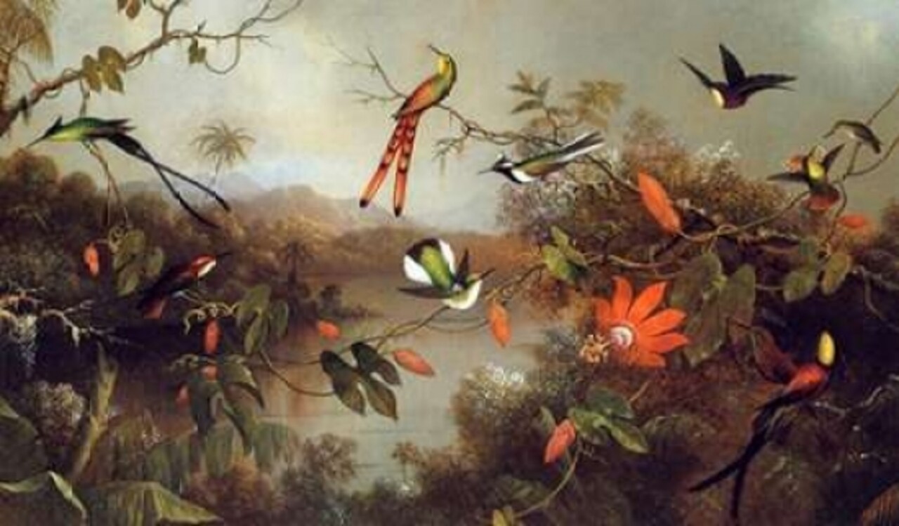 Tropical Landscape With Ten Hummingbirds Poster Print by  Martin Johnson Heade - Item # VARPDX375814